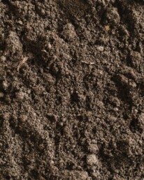 Fertile Soil (www.limult.com)