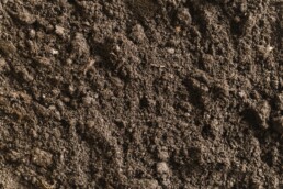 Fertile Soil (www.limult.com)